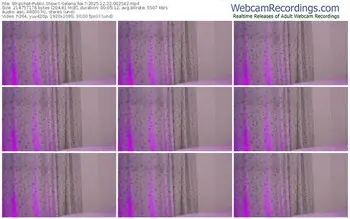 stripchat-selena_fox7-12-22-2025-06-25-42