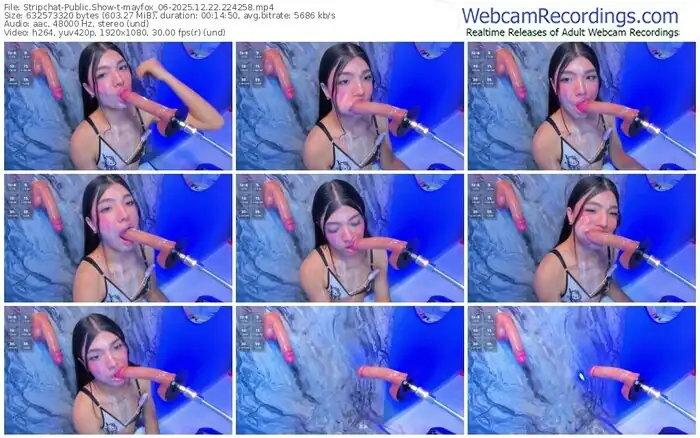 stripchat-mayfox_06-12-22-2025-22-42-58