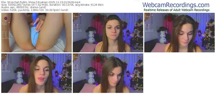 stripchat-evahair-12-23-2025-01-39-28