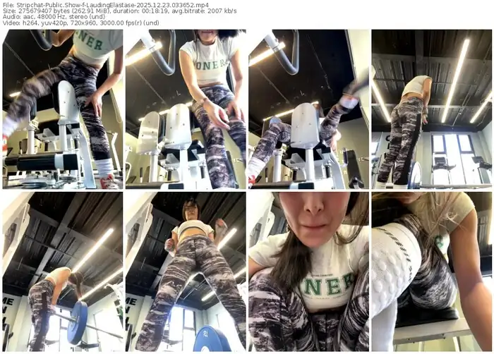 stripchat-laudingelastase-12-23-2025-03-36-52