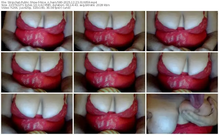 stripchat-nice_n_hairy580-12-23-2025-01-00-59