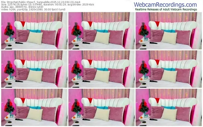 stripchat-_sunpuddle-12-23-2025-03-11-31