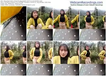 stripchat-linda_bae00-12-23-2025-00-44-06