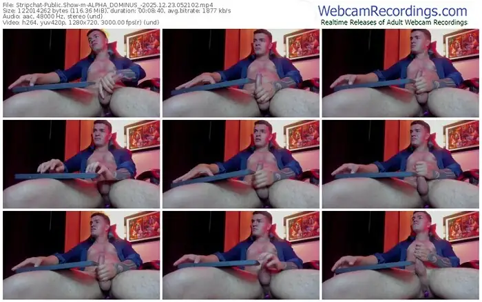 stripchat-alpha_dominus_-12-23-2025-05-21-02