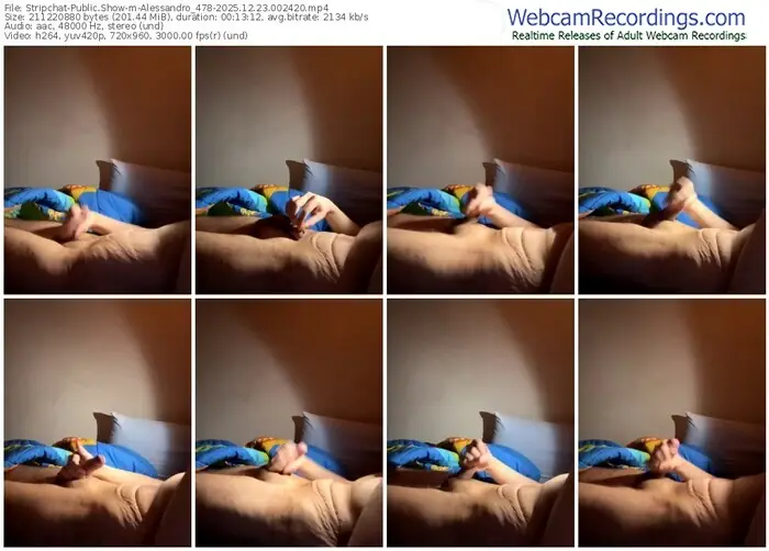 stripchat-alessandro_478-12-23-2025-00-24-20