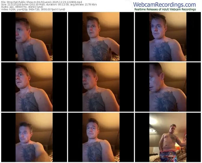 stripchat-dilfiguess1-12-23-2025-12-28-08