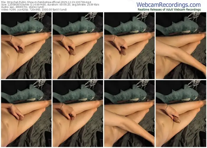 stripchat-femboitea-official-12-23-2025-10-07-36