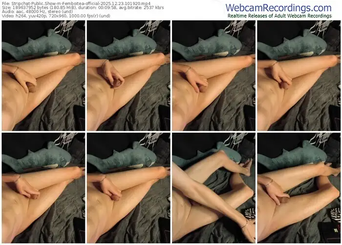 stripchat-femboitea-official-12-23-2025-10-19-20