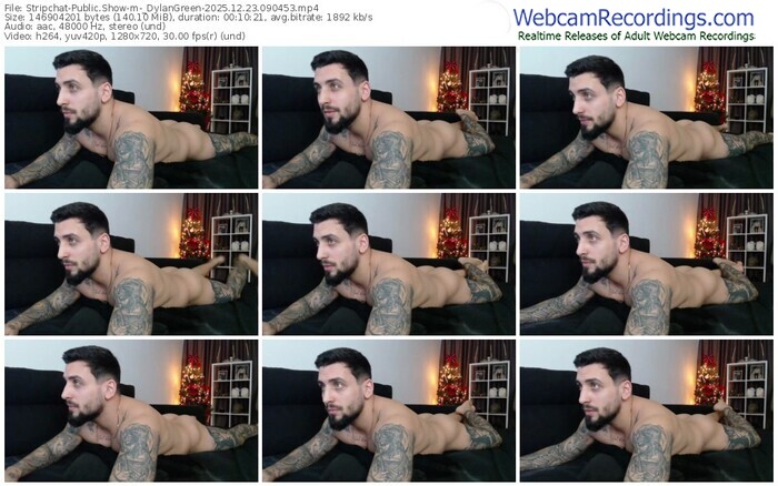stripchat-_dylangreen-12-23-2025-09-04-53