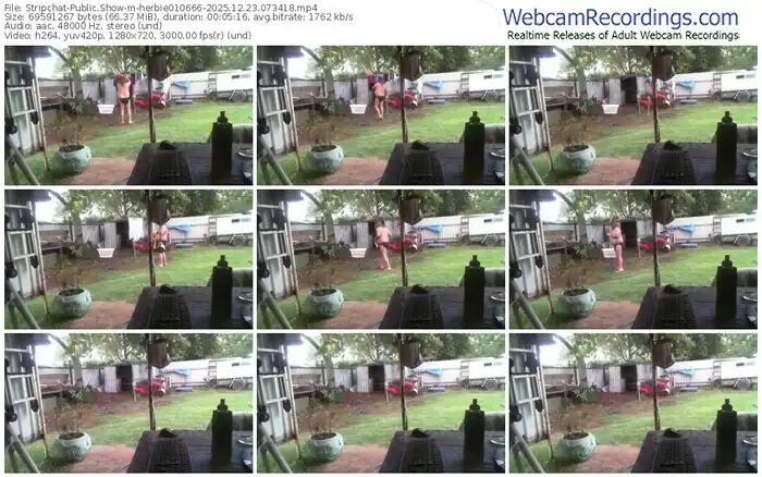 stripchat-herbie010666-12-23-2025-07-34-18