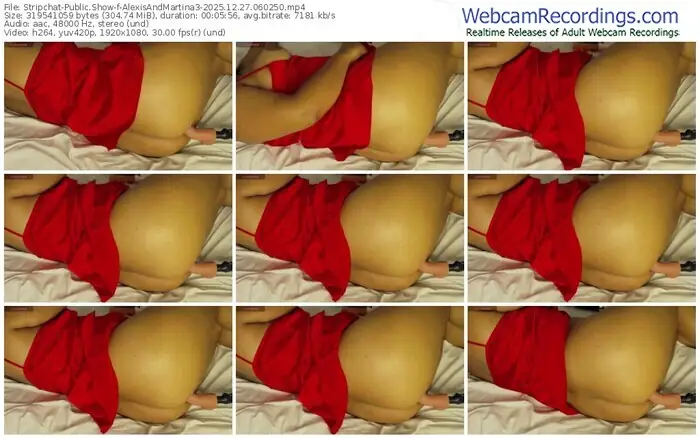 stripchat-alexisandmartina3-12-27-2025-06-02-50