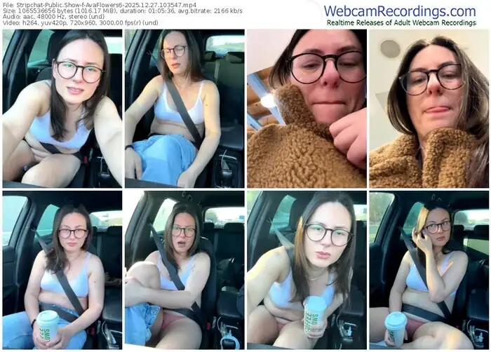 stripchat-avaflowers6-12-27-2025-10-35-47