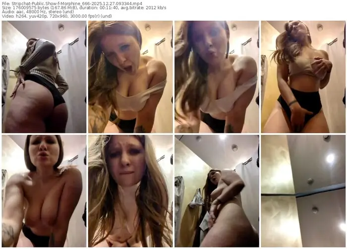stripchat-morphine_666-12-27-2025-09-33-44