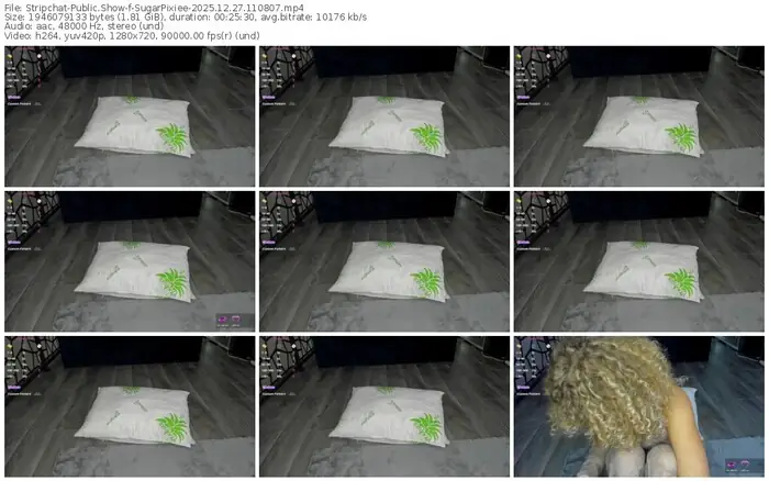 stripchat-sugarpixiee-12-27-2025-11-08-07