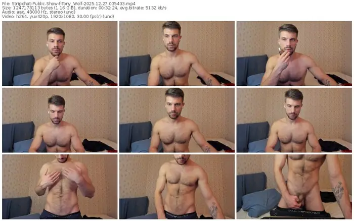 stripchat-tony_wolf-12-27-2025-03-54-33