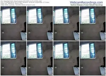 stripchat-ariana_d20-12-27-2025-11-39-21