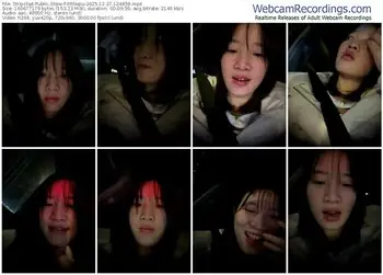 stripchat-littleqiu-12-27-2025-12-48-59