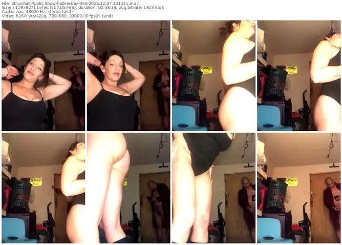 stripchat-silverbay-456-12-27-2025-10-12-11