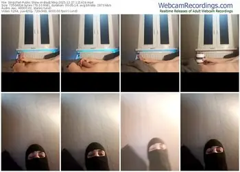 stripchat-bad19big-12-27-2025-12-14-19