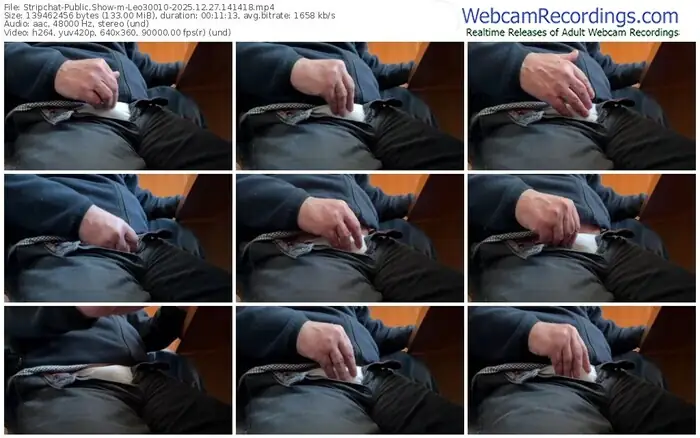 stripchat-leo30010-12-27-2025-14-14-18