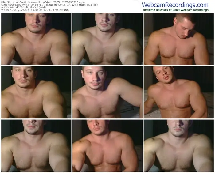 stripchat-lionedwin-12-27-2025-09-57-33