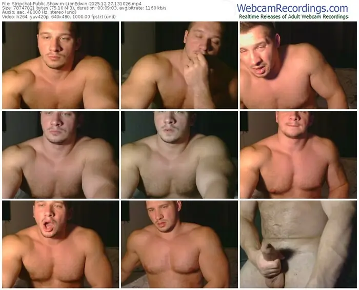 stripchat-lionedwin-12-27-2025-13-10-26