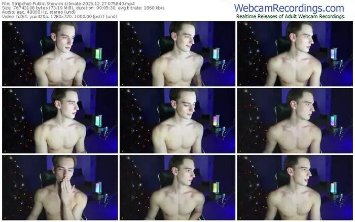 stripchat-litmate-12-27-2025-07-58-40