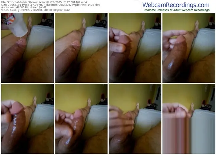 stripchat-marcellja28-12-27-2025-08-14-04