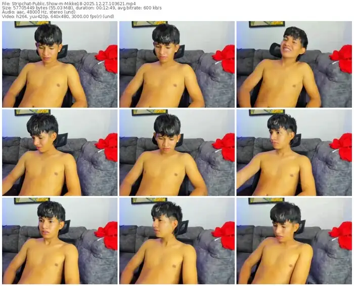 stripchat-mikke18-12-27-2025-10-36-21