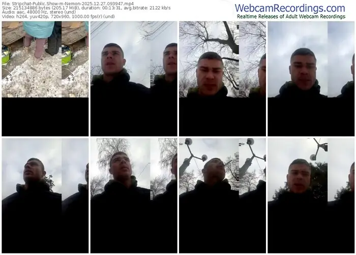 stripchat-nemon-12-27-2025-09-39-47