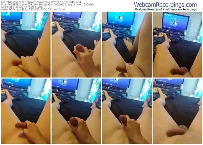 stripchat-smokndog-12-27-2025-17-06-45