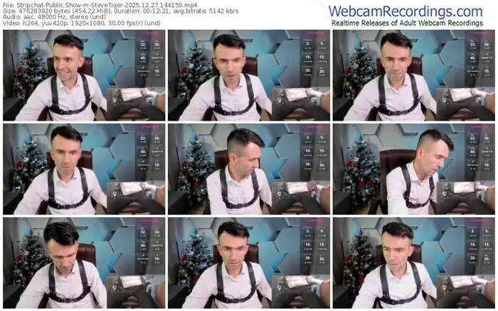 stripchat-stevetiger-12-27-2025-14-41-59