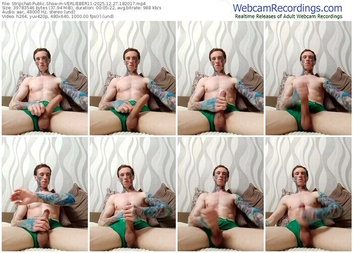 stripchat-verlieber11-12-27-2025-18-20-17