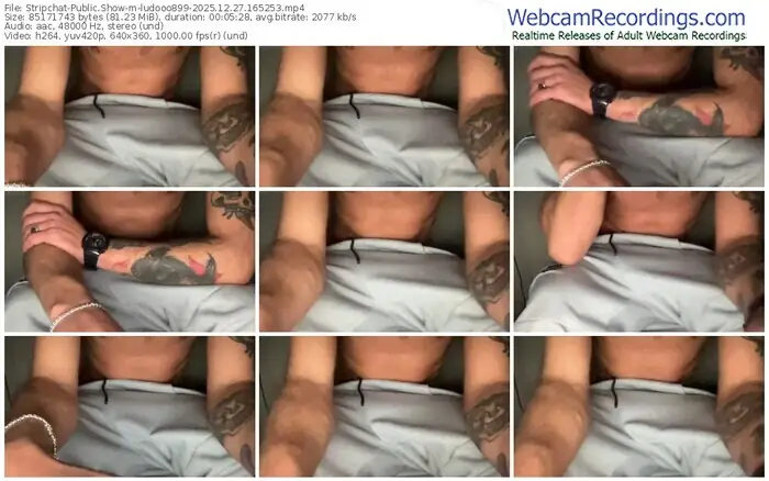 stripchat-ludooo899-12-27-2025-16-52-53