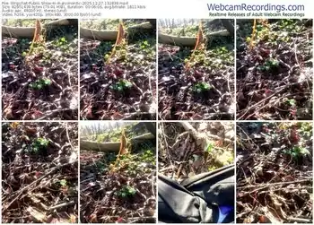 stripchat-marconordic-12-27-2025-13-28-38