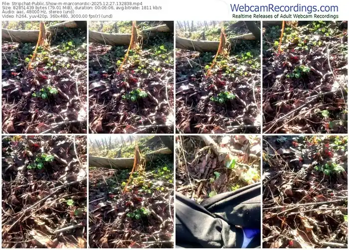 stripchat-marconordic-12-27-2025-13-28-38
