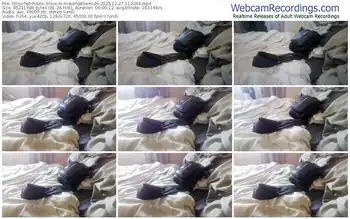 stripchat-mdustg89wmids-12-27-2025-11-20-49