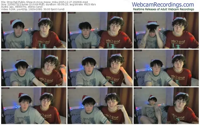 stripchat-miya_meow_miku-12-27-2025-20-28-30