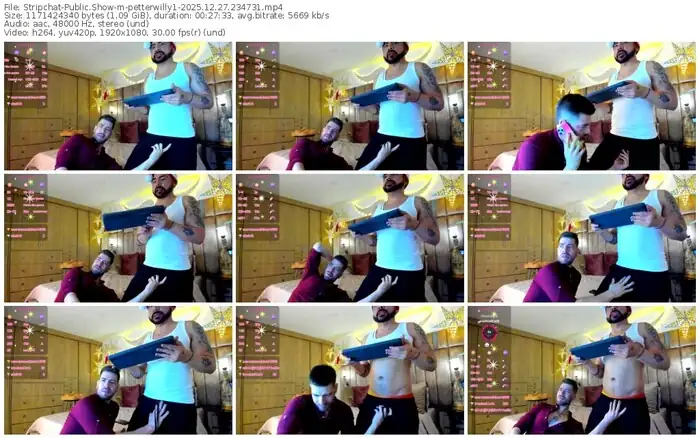 stripchat-petterwilly1-12-27-2025-23-47-31