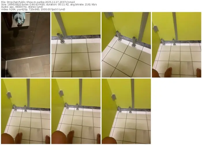 stripchat-sunbe-12-27-2025-20-37-13