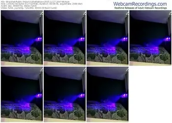 stripchat-sofiatheboss-12-27-2025-20-07-48