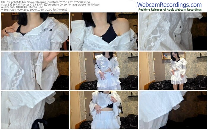 stripchat-beeping_creature-12-28-2025-20-58-02