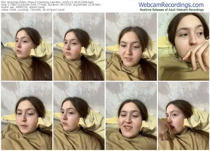 stripchat-charming_hamster_-12-28-2025-01-19-58