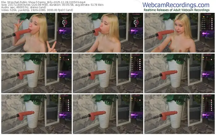 stripchat-danny_billy-12-28-2025-22-05-03