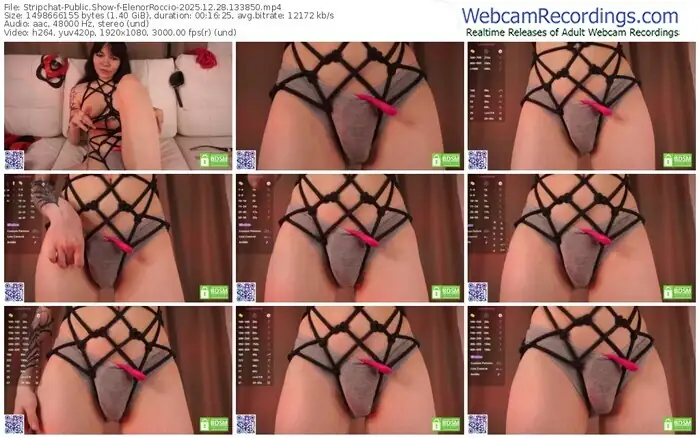 stripchat-elenorroccio-12-28-2025-13-38-50