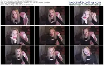 stripchat-elsa_li-12-28-2025-23-03-50