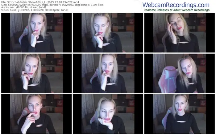 stripchat-elsa_li-12-28-2025-23-46-22