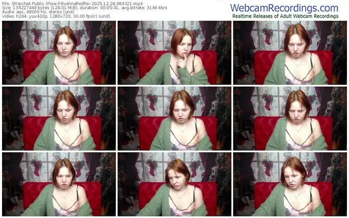 stripchat-evelinaredfox-12-28-2025-08-43-21