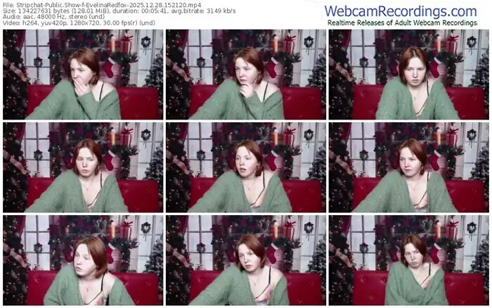 stripchat-evelinaredfox-12-28-2025-15-21-20