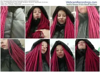 stripchat-frost_foxy-12-28-2025-06-36-28